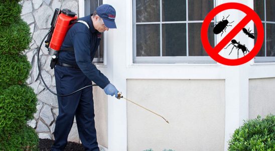 Lalapaşa Gümüşkurt İlaçlama böcek ilaçlama ve haşere kontrolü — ilaclama-tr.com